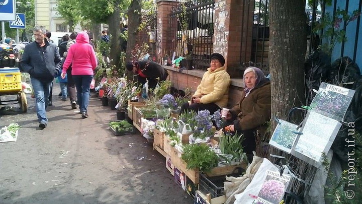 Пов’язане зображення