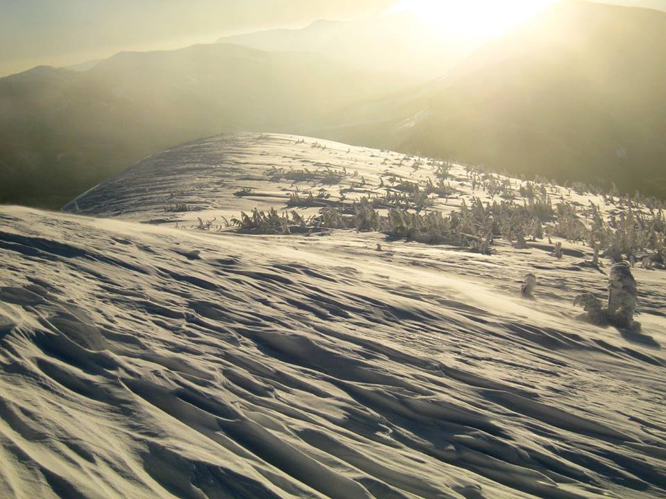 Зимова казка: як виглядають засніжені схили Горган (фоторепортаж)
