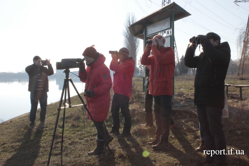 Туристи, біноклі, птахи. Як на Бурштинському водосховищі розвивають бьордвотчинг (фото)