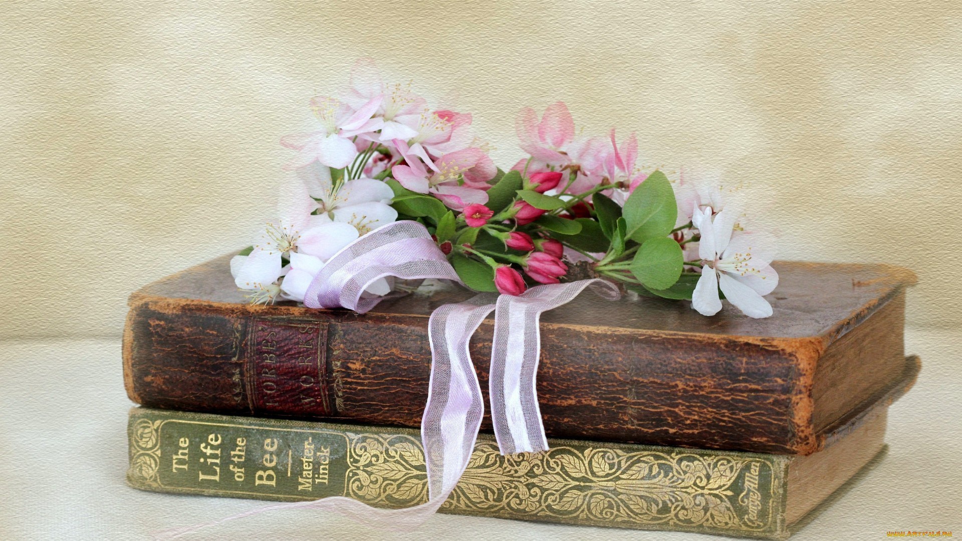 flowers_on_old_books-1920x1080[1]