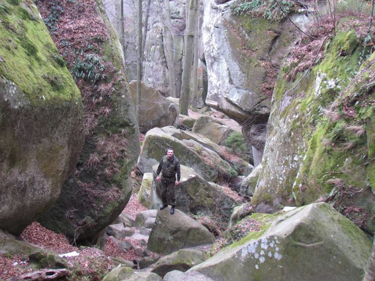 13062147_1007477605997811_81529877621251728_n