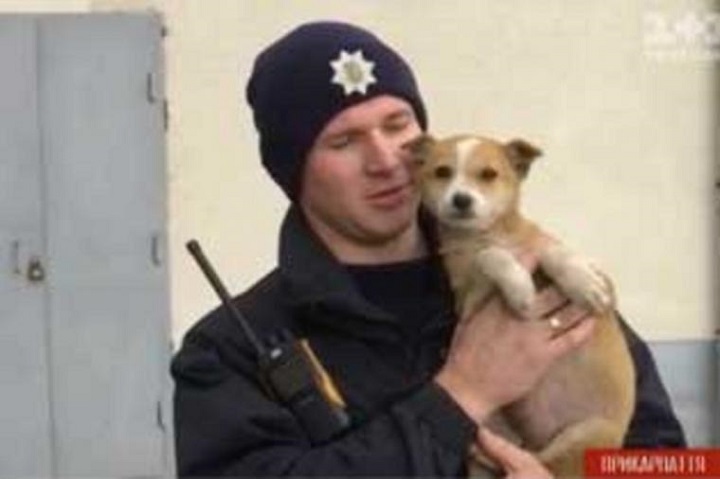 Франківські патрульні віддадуть рудого знайду в добрі руки (ВІДЕО)