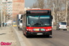 Dysko-Bas-Avtobus-8772