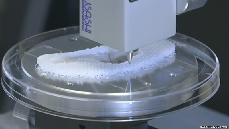 1D353106-C80C-4837-BBD1-B9F1E36B2AFE_w1023_r1_s