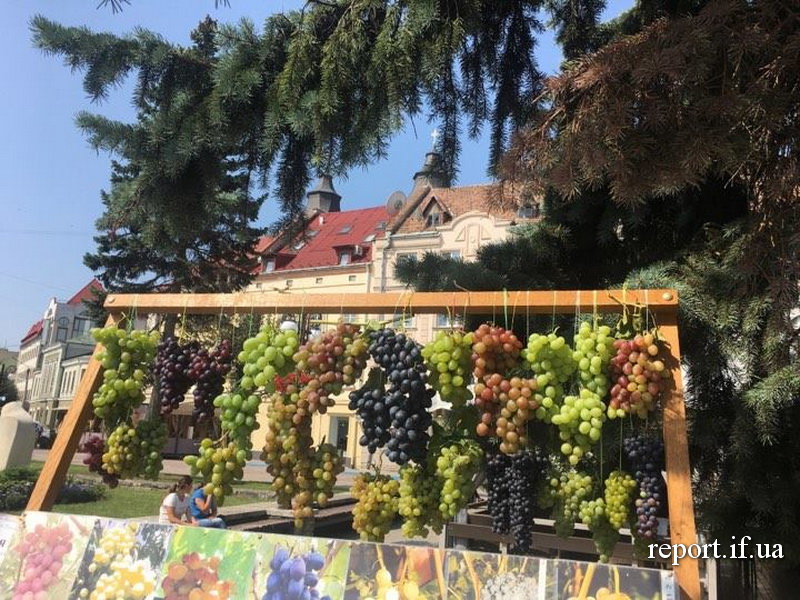 21148508_1510666498971363_1442069172_n