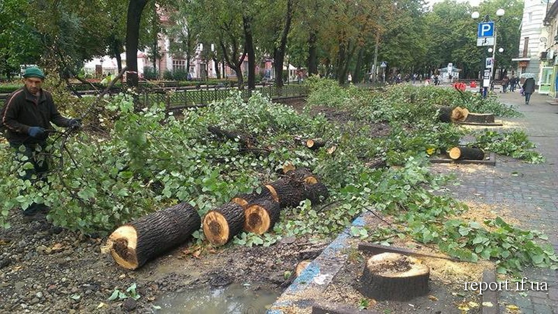 21361017_1077357779062437_721213978_n