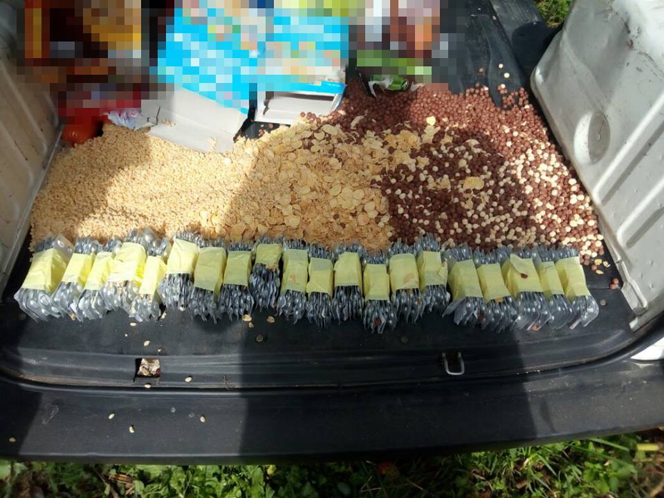 21371139_1994331814130147_2962355502221174754_n