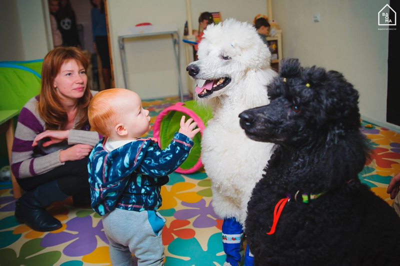 Діти й собаки. У Франківську малюків вчать спілкуватися з чотирилапими