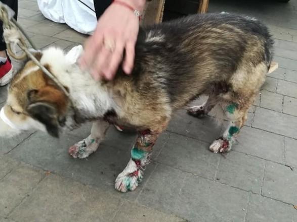 1d0a6887b4f758ece5523b2e70f02bc317c08069__large