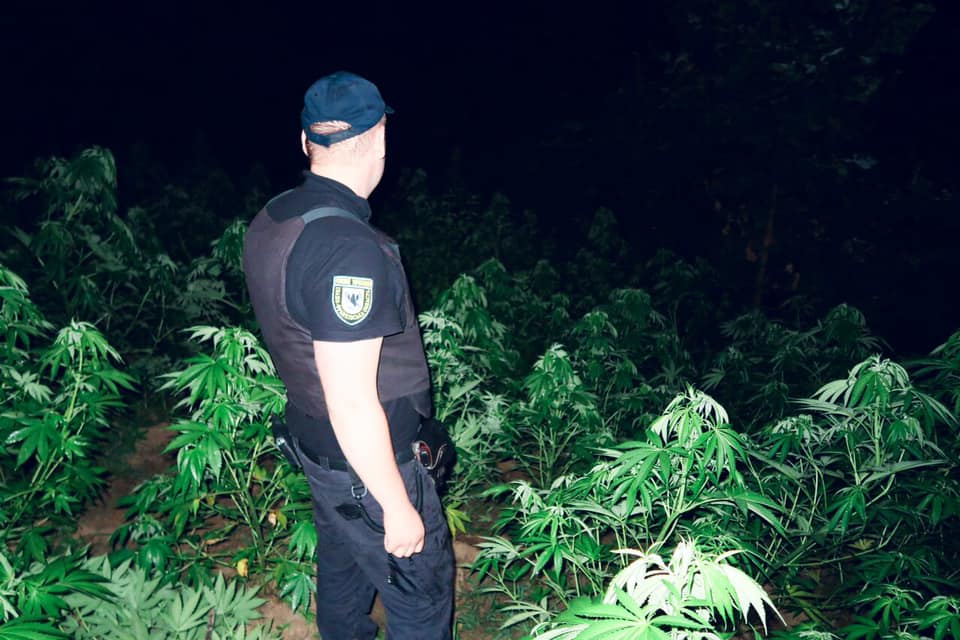 110020569_4469930899714182_671300095986787729_n