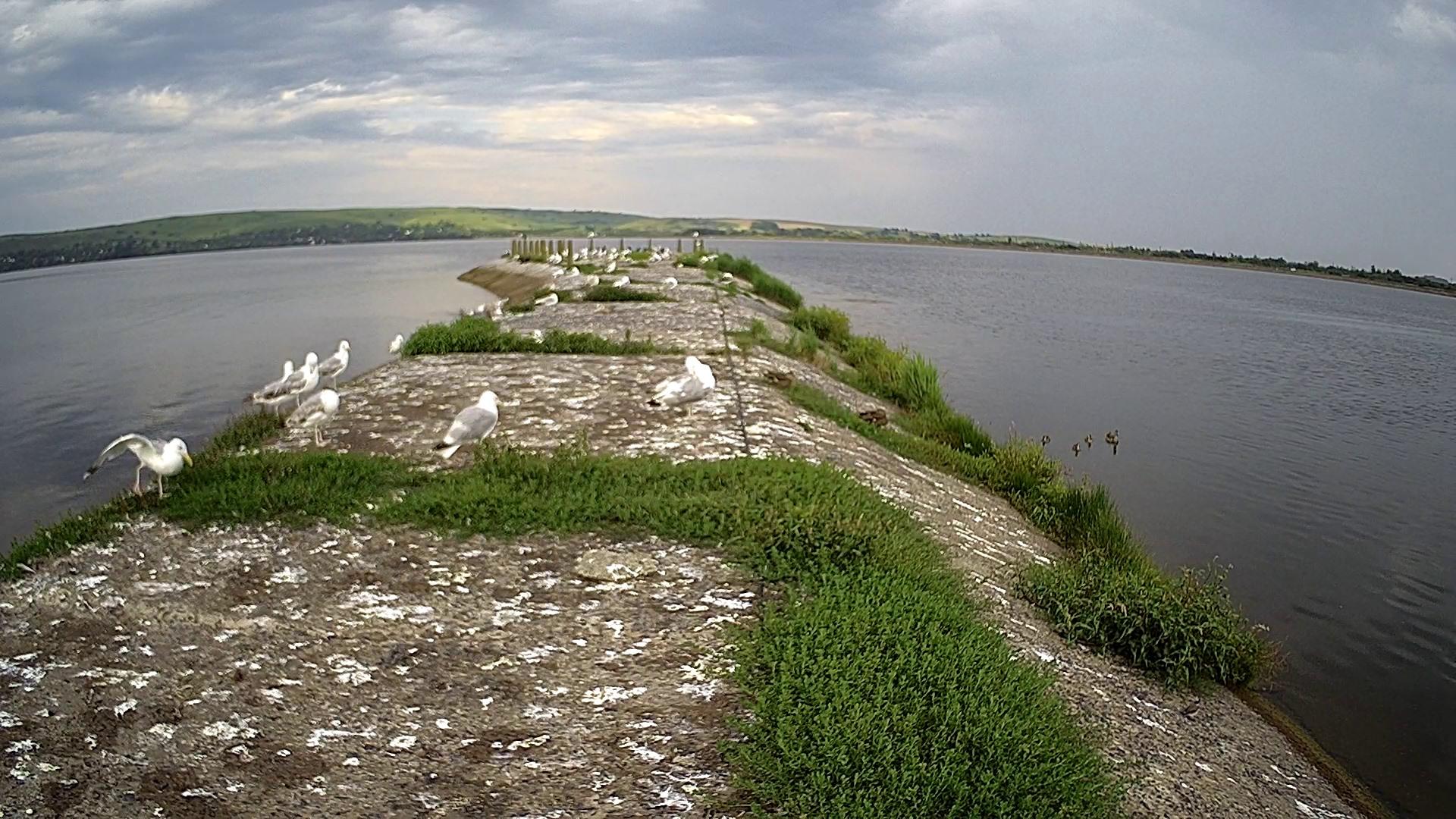 116045548_170995594473925_2308529028239678136_o