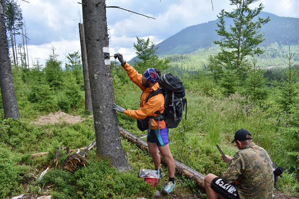 b595f9c3e41da5295b42bff321e906f5