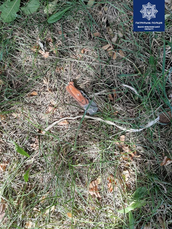 117533431_3262792617138182_2955285330216641045_n