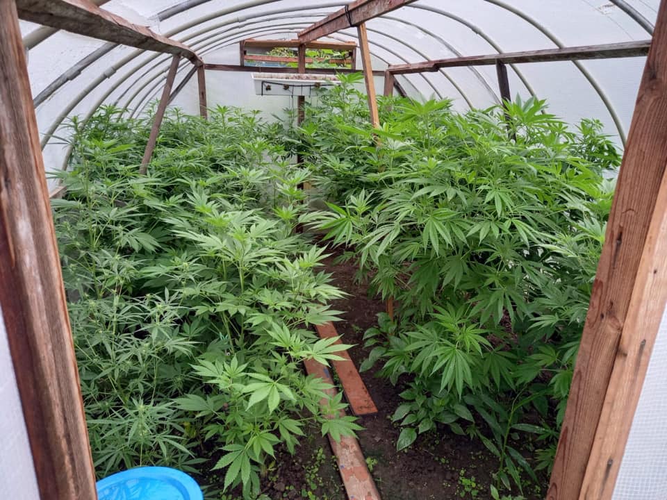 118151970_4637160642991206_8978343075419048008_n