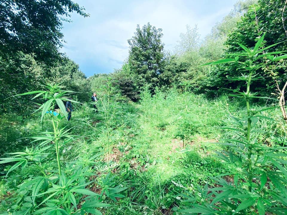 118292211_4631898843517386_8123259506190500634_n