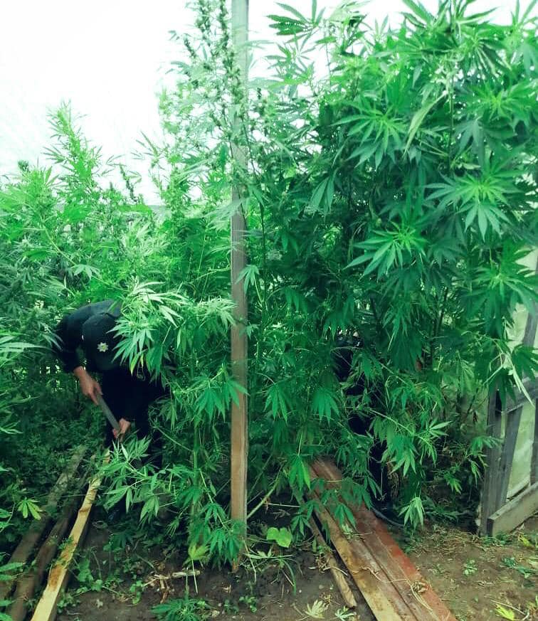 118881135_4714371095270160_7902145090837617923_n