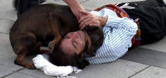 завантаження