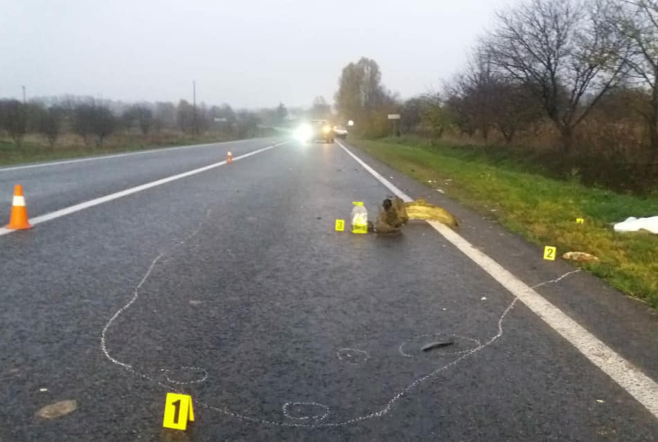 124994344_5062618307112102_8569822393981675713_n