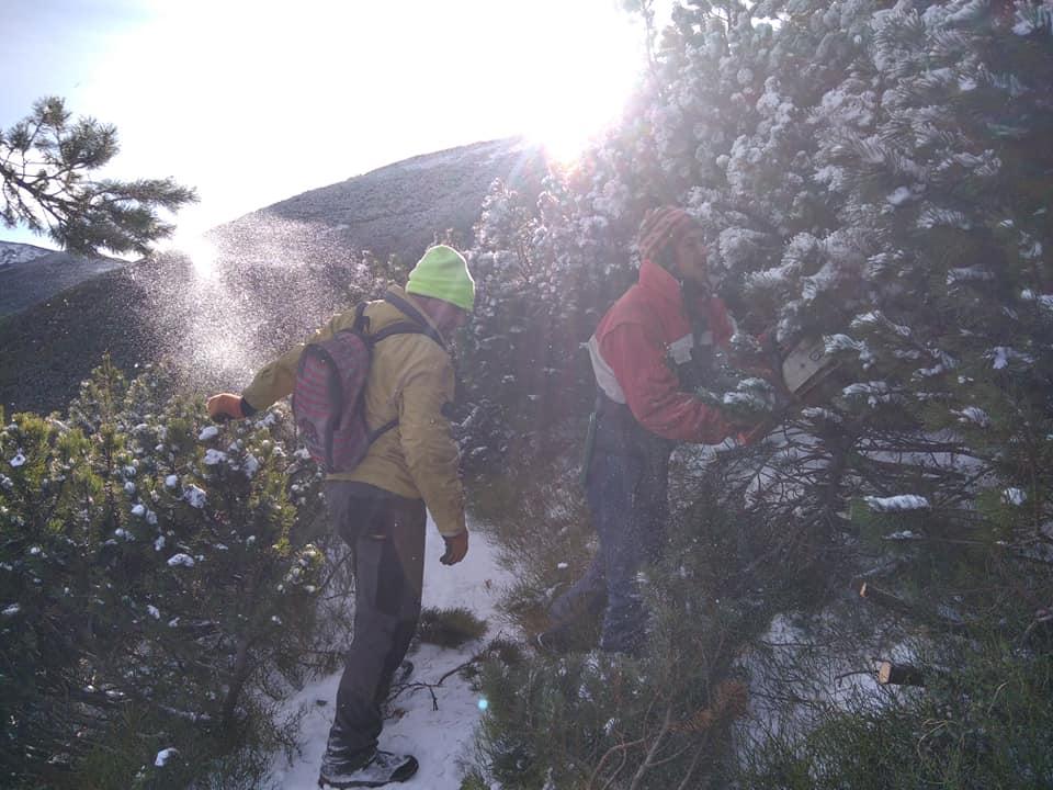 2831eb7e5c99e966d6e7ea30e730dfb4