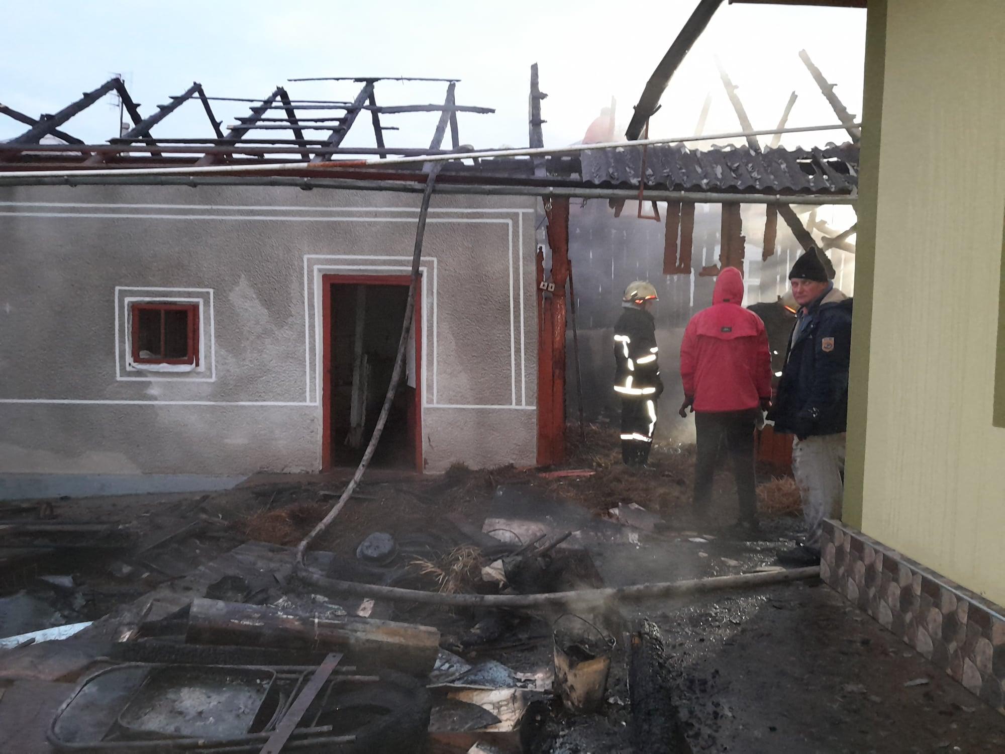 129090819_895830370954499_4449165810938018185_o