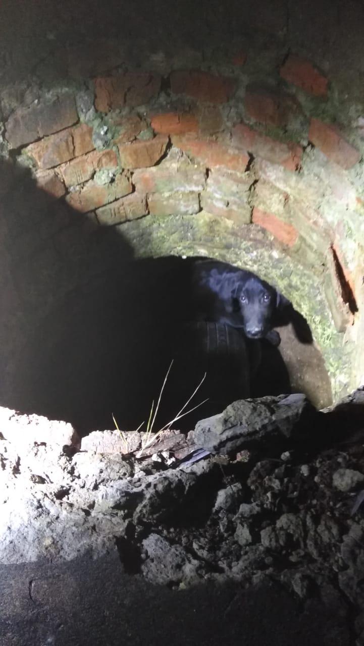 131582953_3523997377720072_4760821207578814906_o