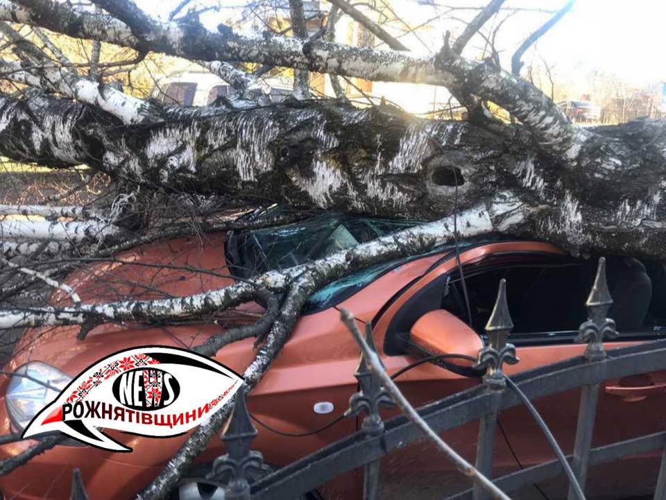 133652764_225183679066792_1434748650801971218_n