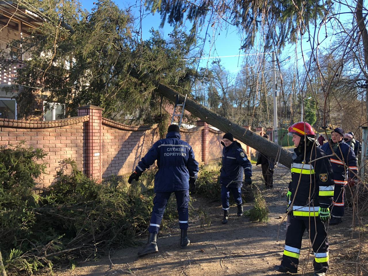 134349291_3555983667854776_4292684770519457034_o