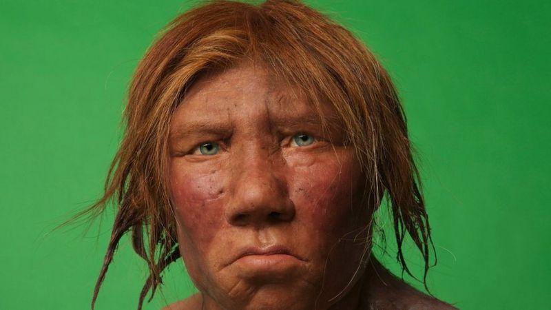 _116243219_0bf2f895-2208-4d07-a2cd-19a7ca21768f