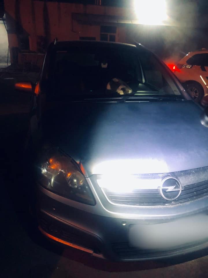 136620224_5306679946039269_3720799628718784761_n