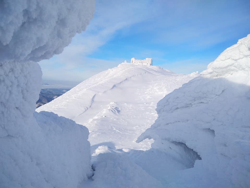 137614990_3250787958360897_8355365356581789020_n