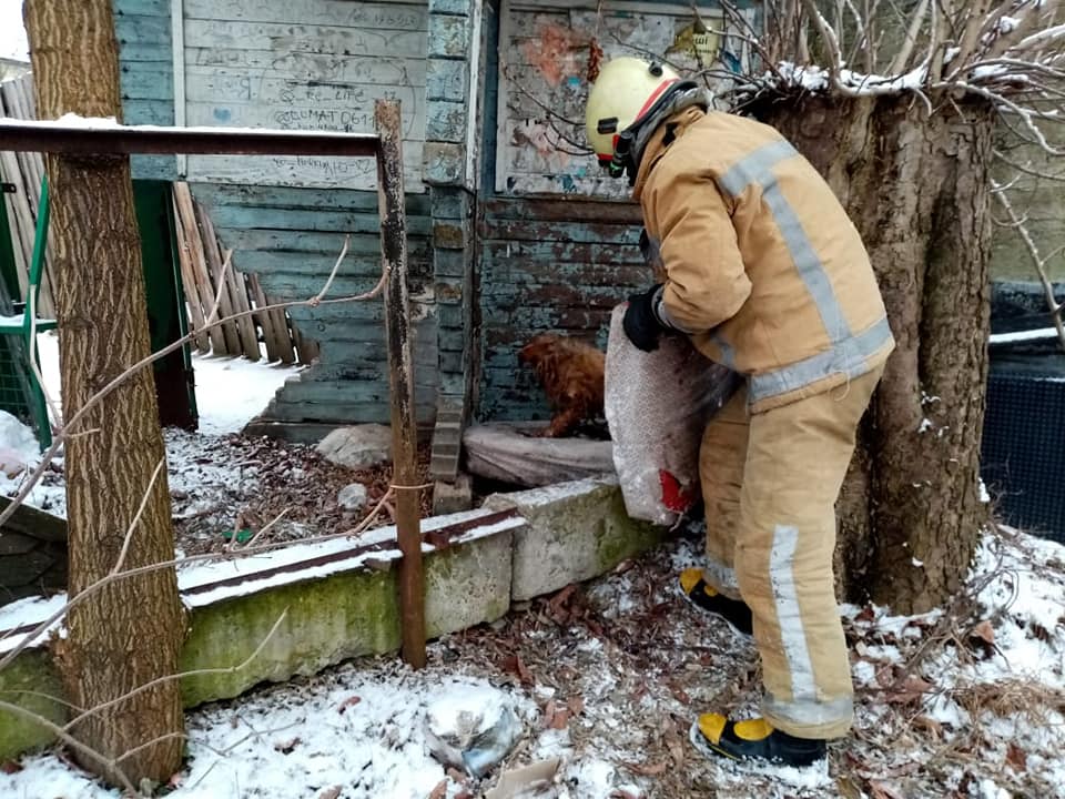 139031080_3595930360526773_2448113786679494766_n