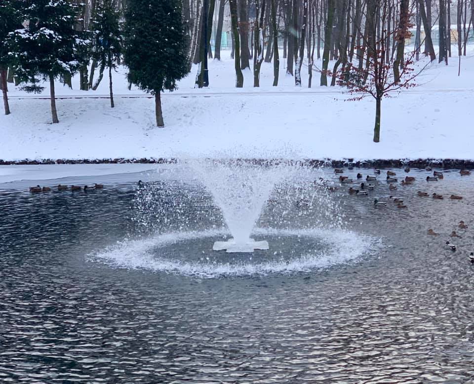 139520446_3579860702049160_4024557591971669142_n