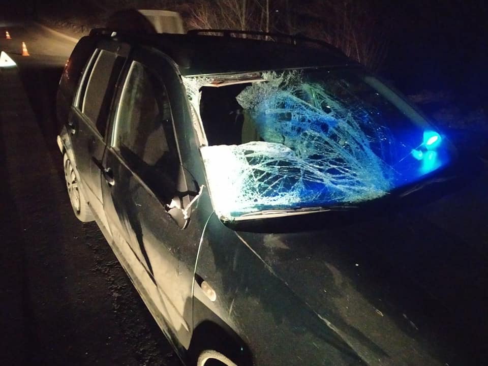 146049579_5441983635842232_2195876318753140709_n