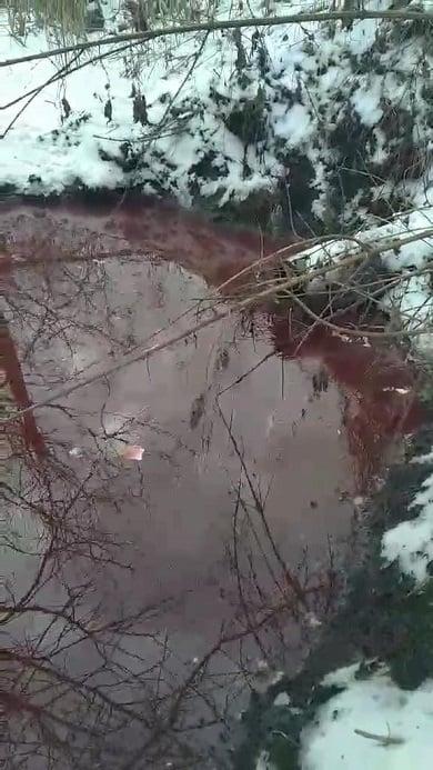 148700290_283015486495542_7105588173569718337_n