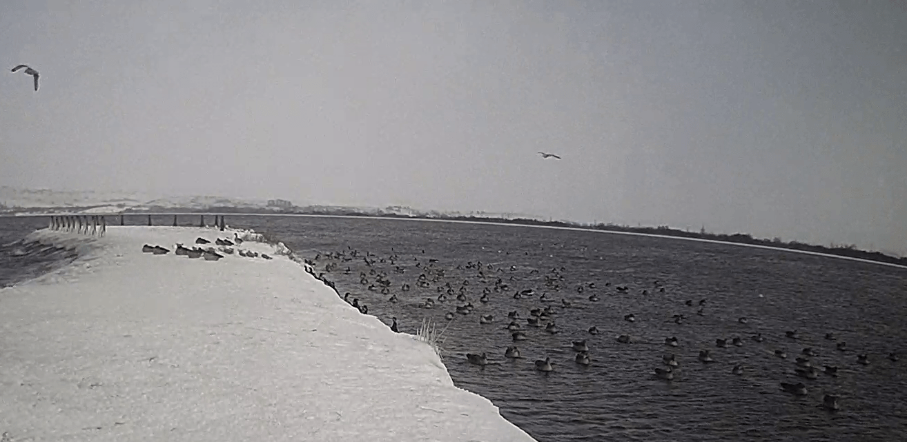 149486509_256843552555795_6548765046578609709_o