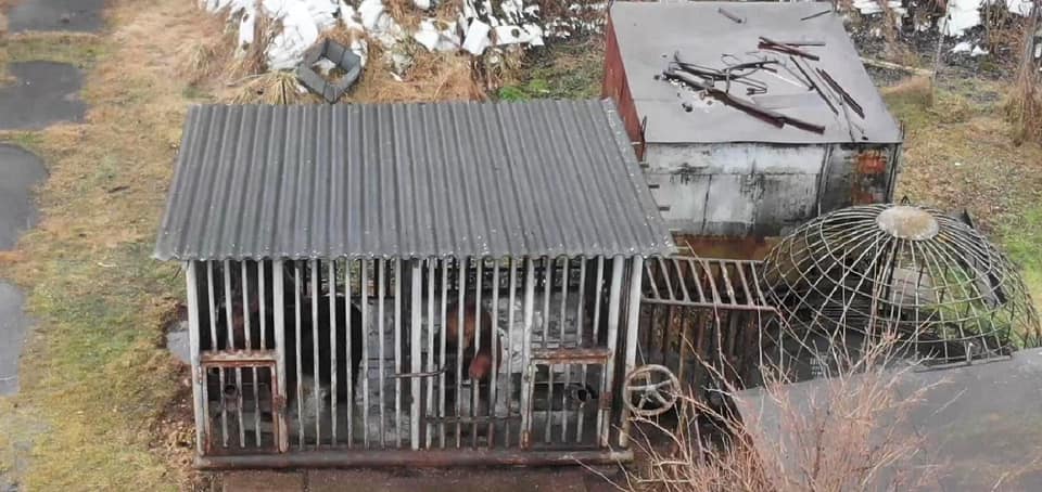 157162308_3587594971295696_3392869541928381946_n