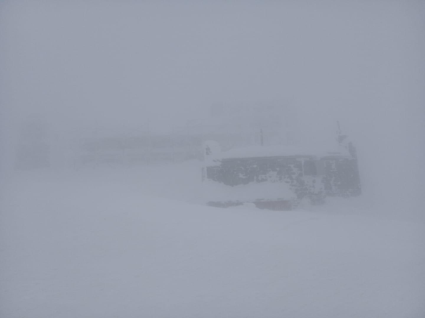 164338715_2234056506727436_2564379006272670817_o