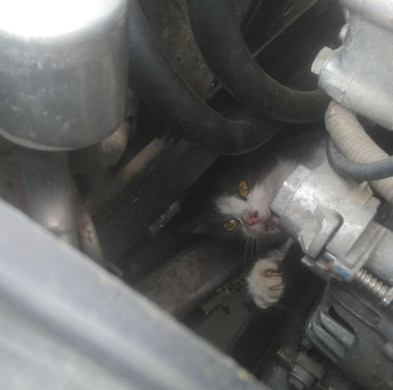 166469923_3797447300375077_8805049244520106434_n