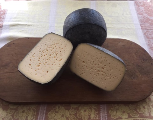 Гауда біля замку. На Городенківщині варять сім видів сиру – не гірших ніж, в Італії ФОТО