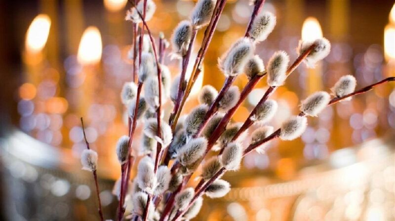 вербна неділя