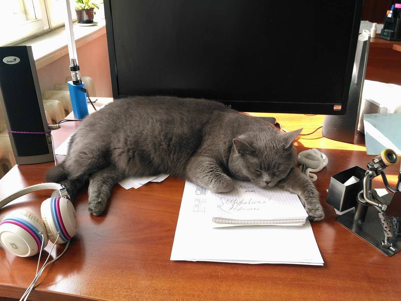 17917248_1608410112519839_1129102284808270658_o