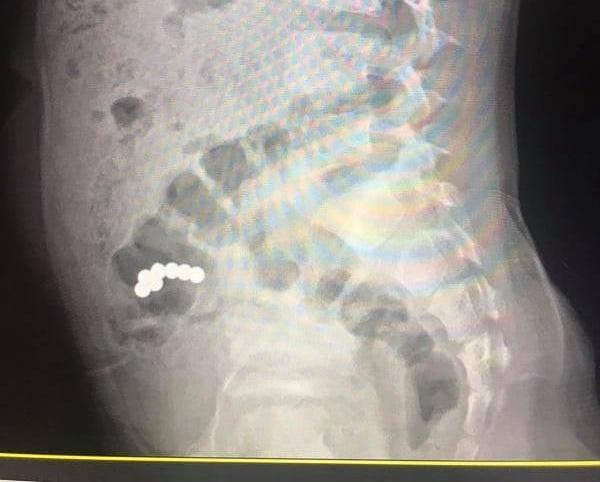 218629864_472400380765267_7996642762266607752_n