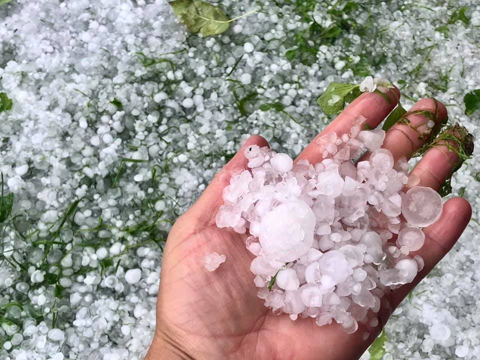 229938442_4757965287564336_7849990000070041084_n