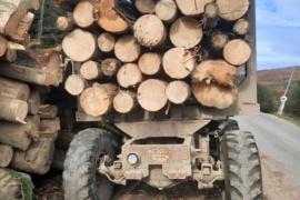 На Прикарпатті зловили “на гарячому” дві фури з краденим лісом (ФОТО)