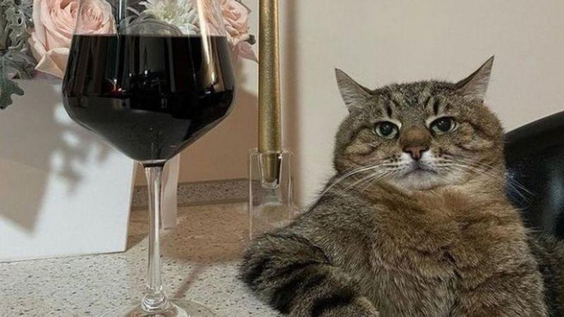 _121796665_b553488f-6d33-46ee-9c17-b3905376870b