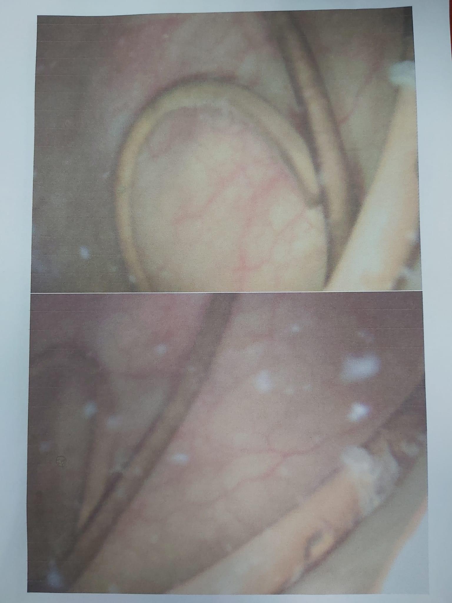 258574891_929060728045733_1882177163750935554_n