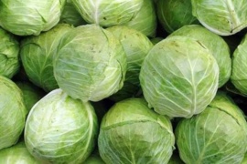 Священика з Городенківщини оштрафували за торгівлю капустою у невстановленому місці