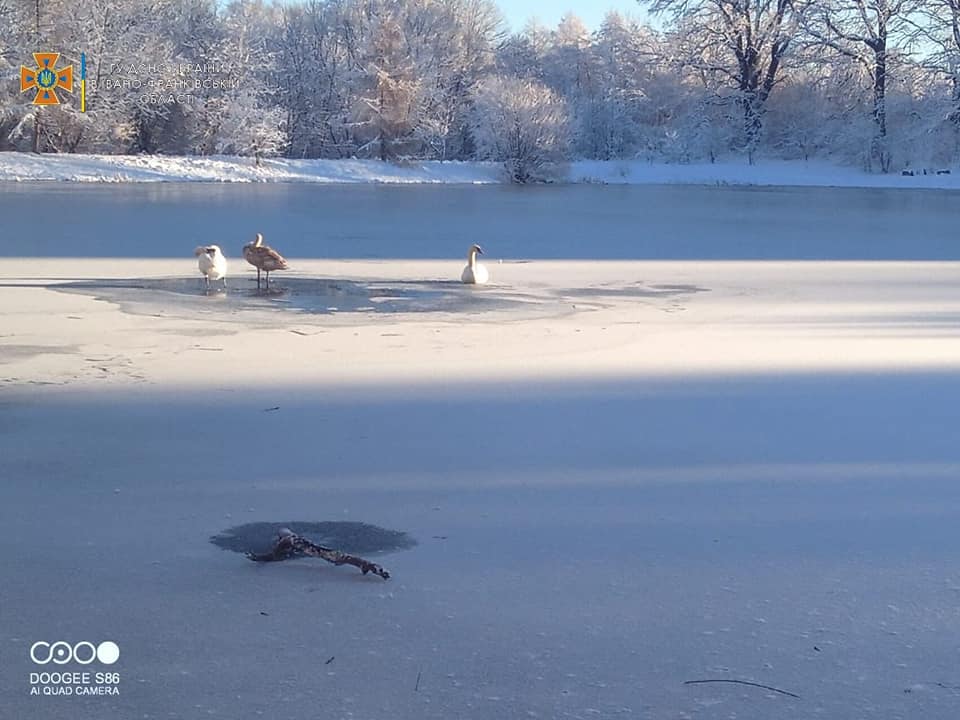 263344683_4545136812272785_2726466453774245743_n