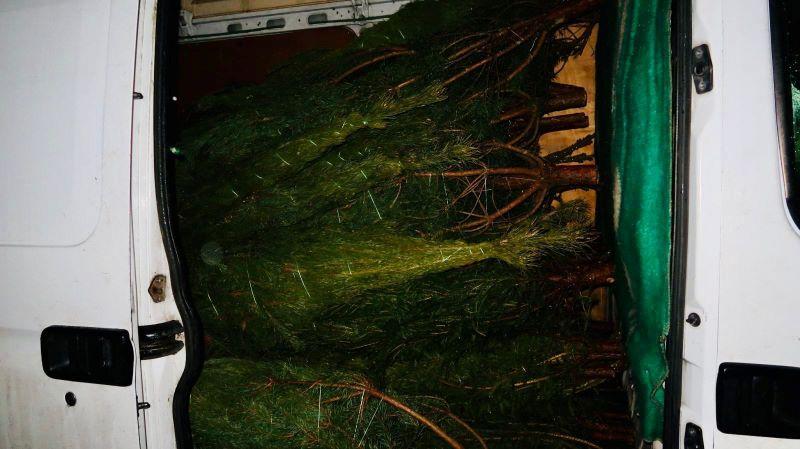 265971020_7124938147546764_7787673599070329947_n