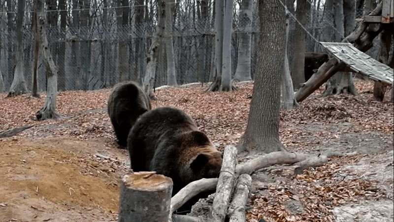 Знімок екрана (538)